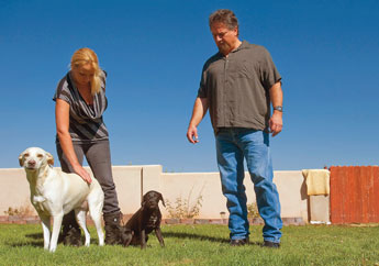 Hailey Duron and her husband Daniel Duron stand in the back yard of their home in Grants with Lilly, left, and Stewie, right. Unknown to the family, Stewie had distempter and now the condition has spread to Lilly. "Our children are all grown so, these animals are our family," Haily Duron said. © 2011 Gallup Independent / Adron Gardner 